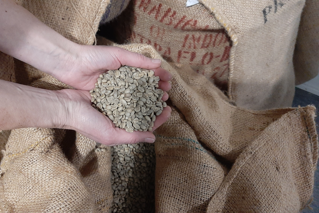 Kahvipapuja ennen paahtoa Kahvipapuja ennen paahtoa