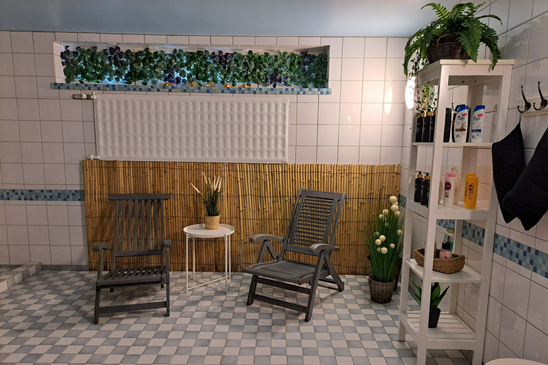 Fransin saunan suihkutilasta